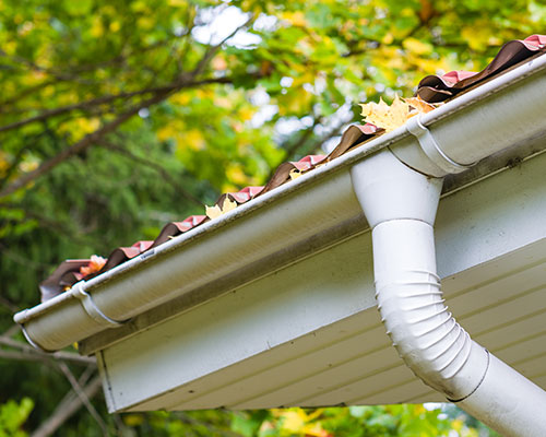 Gutter Cleaning