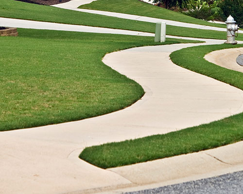 Sidewalk Cleaning